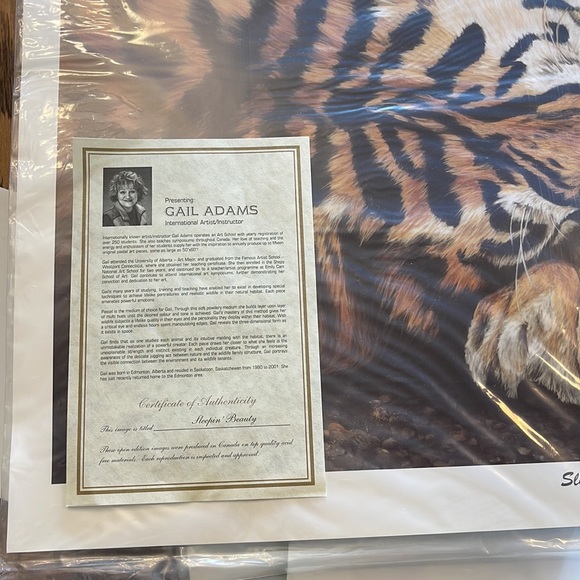 Gail Adams Sleeping Beauty With Authenticity 🥰🥰 - Picture 3 of 3